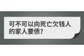 盐湖为什么选择专业追讨公司来处理您的债务纠纷？